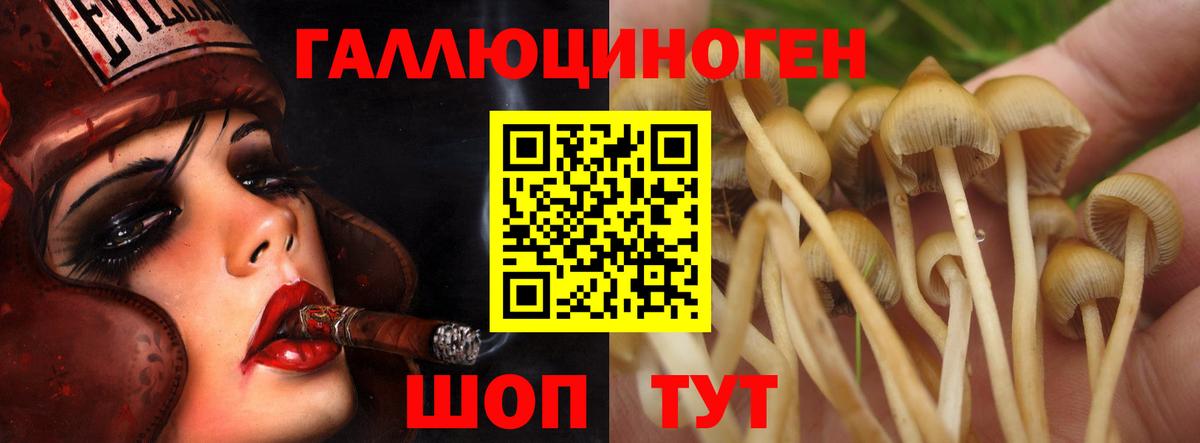 Галлюциногенные грибы MAGIC MUSHROOMS Сарапул